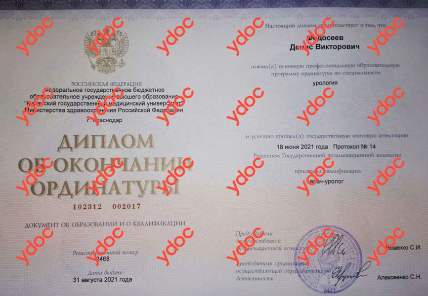 Документы и фотографии - Федосеев Д. В.